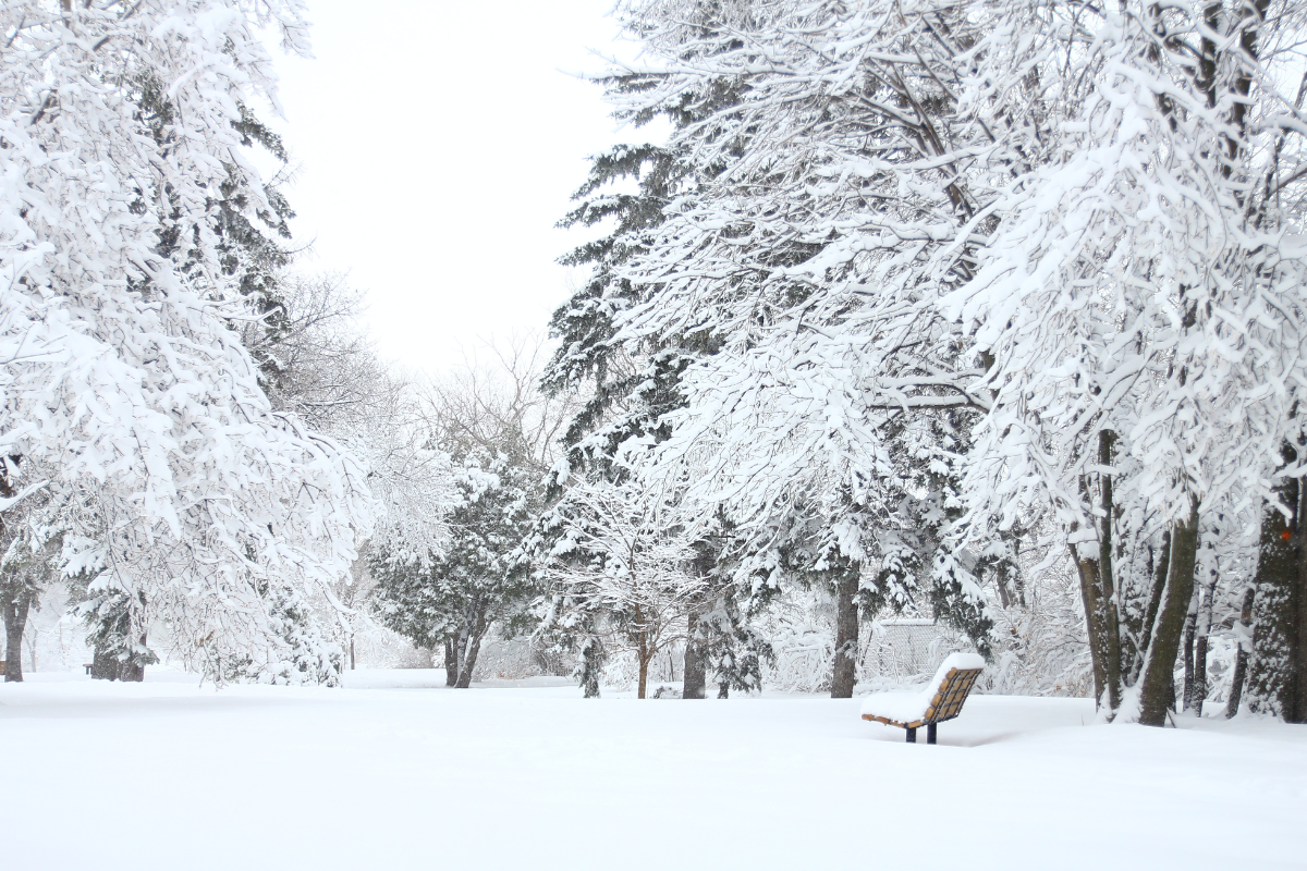 Snowstorms in California : A Harsh Reminder of Nature’s Power